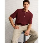 AE Pique Sweater Polo Shirt - Wineberry