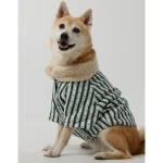 OFFLEASH By Aerie Flannel Dog Shirt - Crew Green