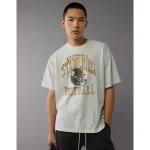 NFL Boxy Pittsburgh Steelers Graphic T-Shirt - Light Heather Gray